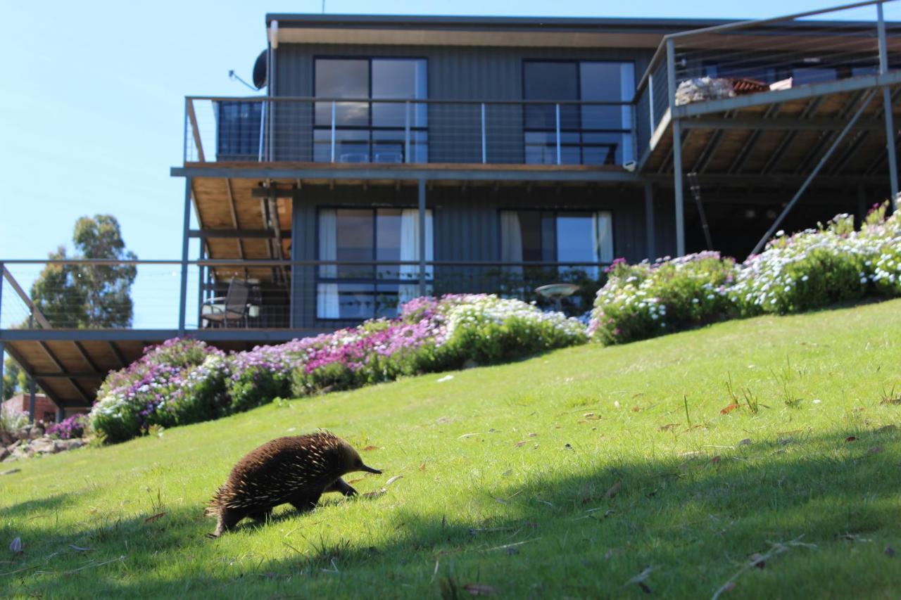 Storm Bay B&B White Beach Exteriör bild